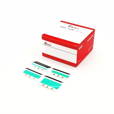Buen precio 2 Cintas de poliéster laminadas para un mercado competitivo en línea